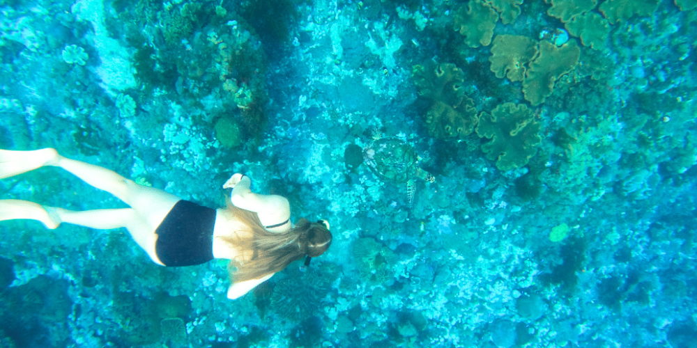 bali-sea-turtle-community-program-for-teenagers-new-2025-14