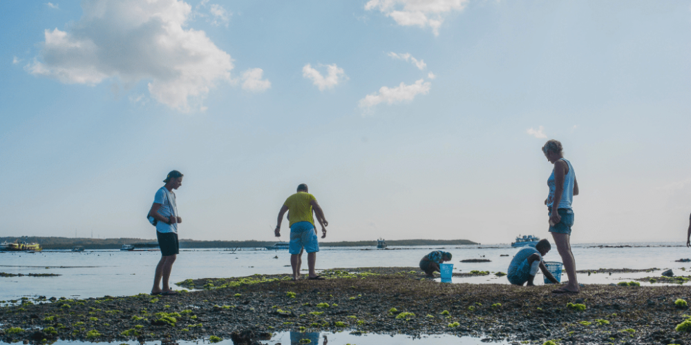 bali-sea-turtle-conservation-program-for-teenagers8