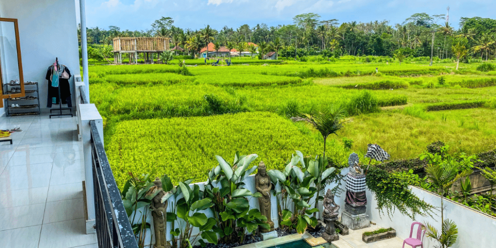 bali-ubud-acc-2025-4