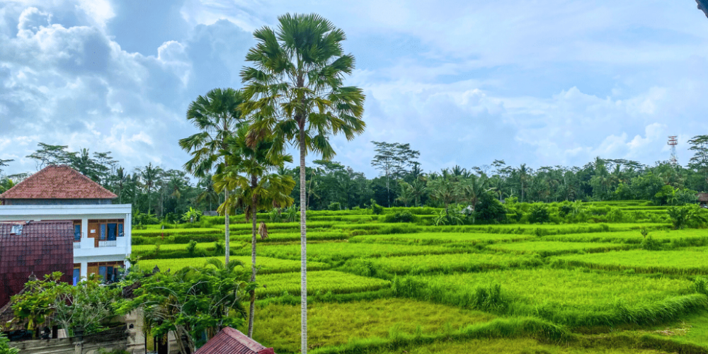 bali-ubud-acc-2025-6