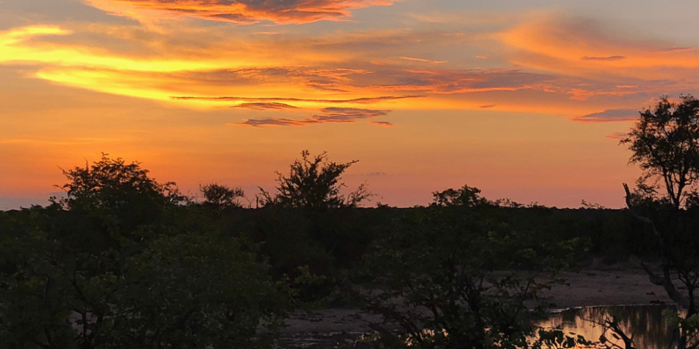 botswana-african-wildlife-conservation-for-mature-adults-10