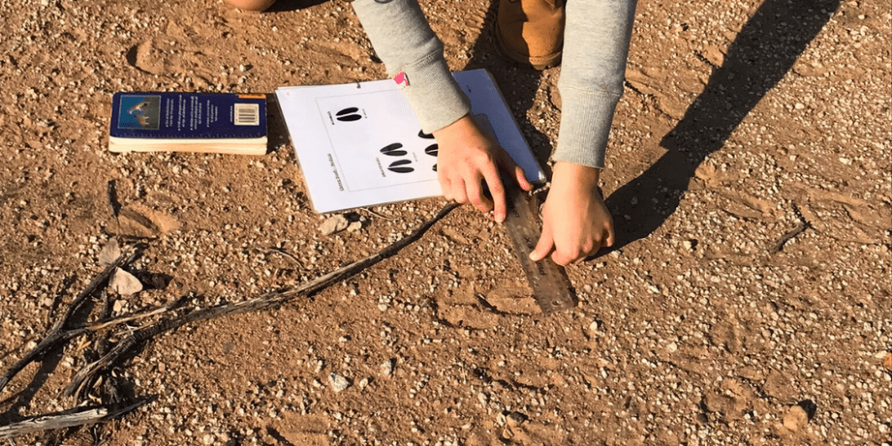 botswana-african-wildlife-conservation-for-mature-adults-9