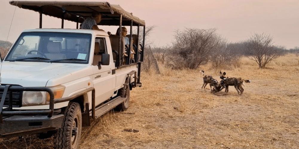 botswana-family-friendly-wildlife-conservation-kalahari-16