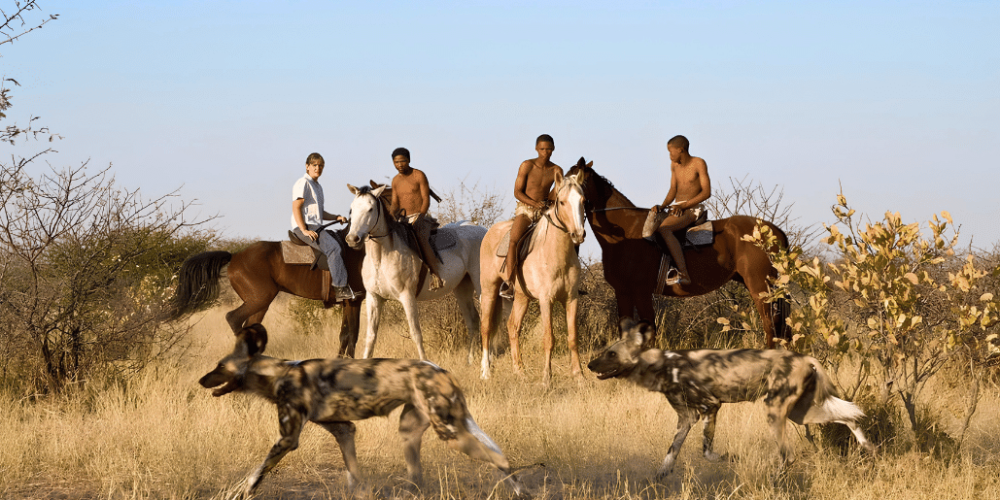 botswana-family-friendly-wildlife-conservation-kalahari-18