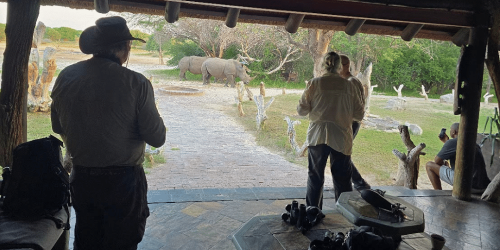 botswana-family-friendly-wildlife-conservation-kalahari-22