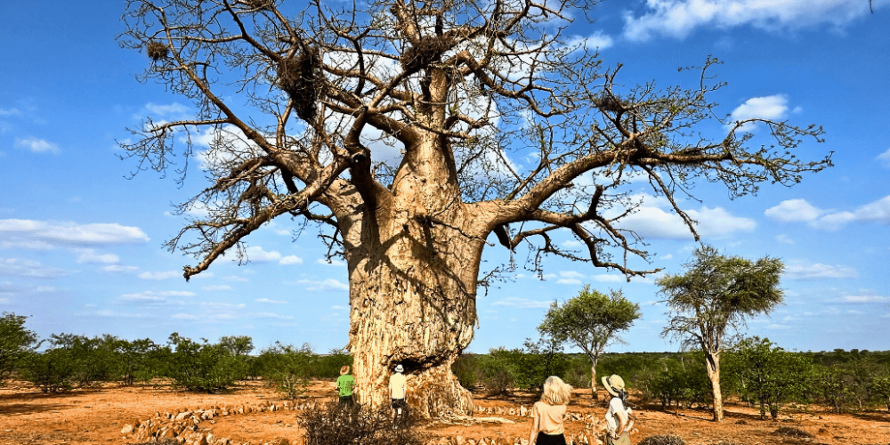 botswana-family-friendly-wildlife-conservation-kalahari-46