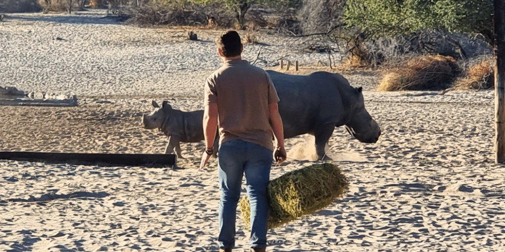 botswana-kalahari-rhino-wildlife-conservation-26
