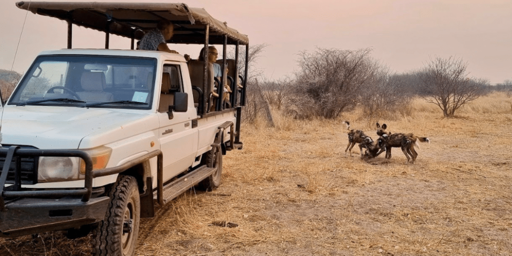 botswana-kalahari-rhino-wildlife-conservation-27