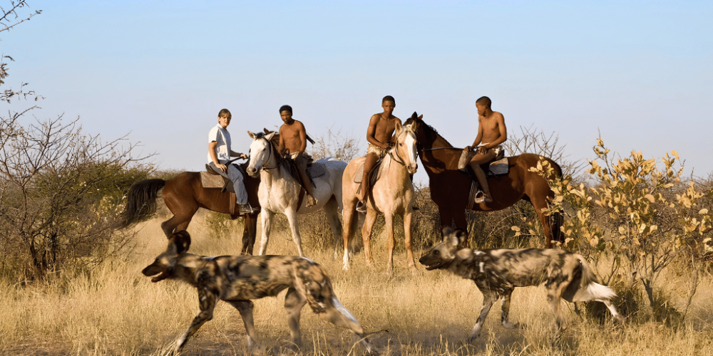 botswana-kalahari-rhino-wildlife-conservation-29