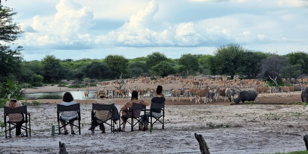 botswana-kalahari-rhino-wildlife-conservation-32
