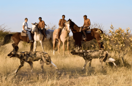 botswana-kalahari-rhino-wildlife-conservation-main-12