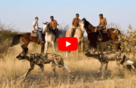botswana-kalahari-rhino-wildlife-conservation-main-13
