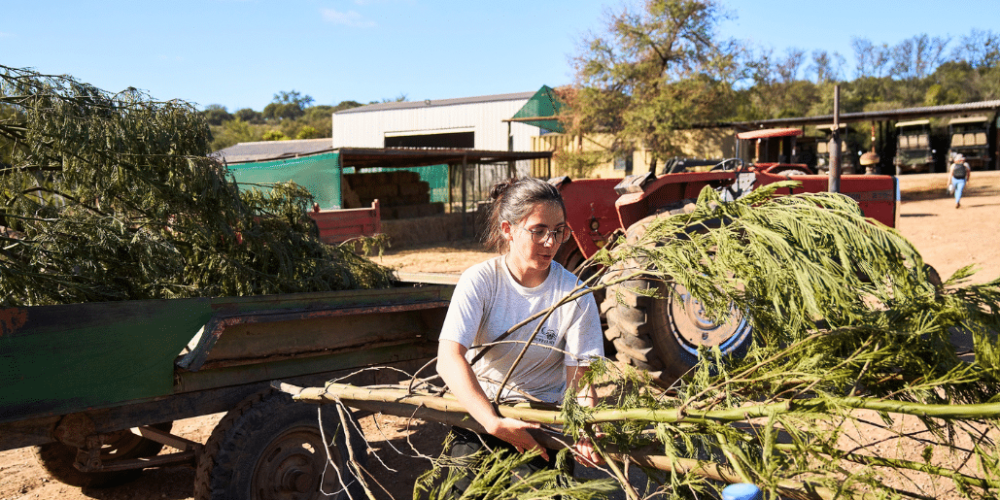 cape-town-community-wildlife-conservation-teenagers-1