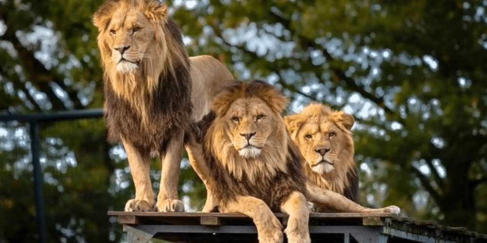 cape-town-community-wildlife-conservation-teenagers-28