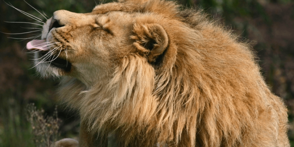 cape-town-community-wildlife-conservation-teenagers-36