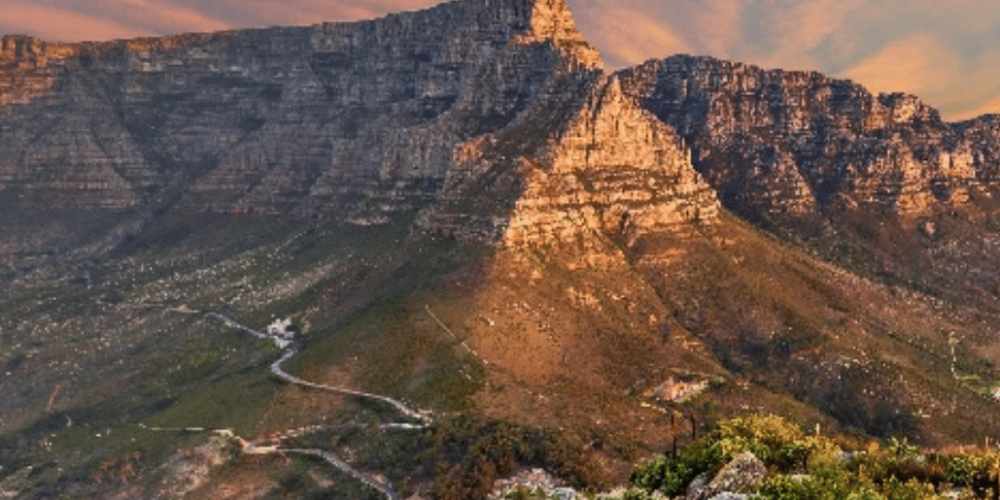 cape-town-community-wildlife-conservation-teenagers-53