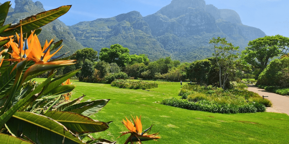 cape-town-community-wildlife-conservation-teenagers-55