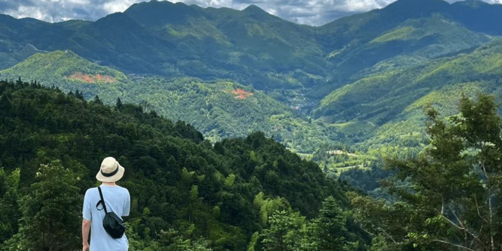 china-giant-panda-volunteer-cultural-tour-1