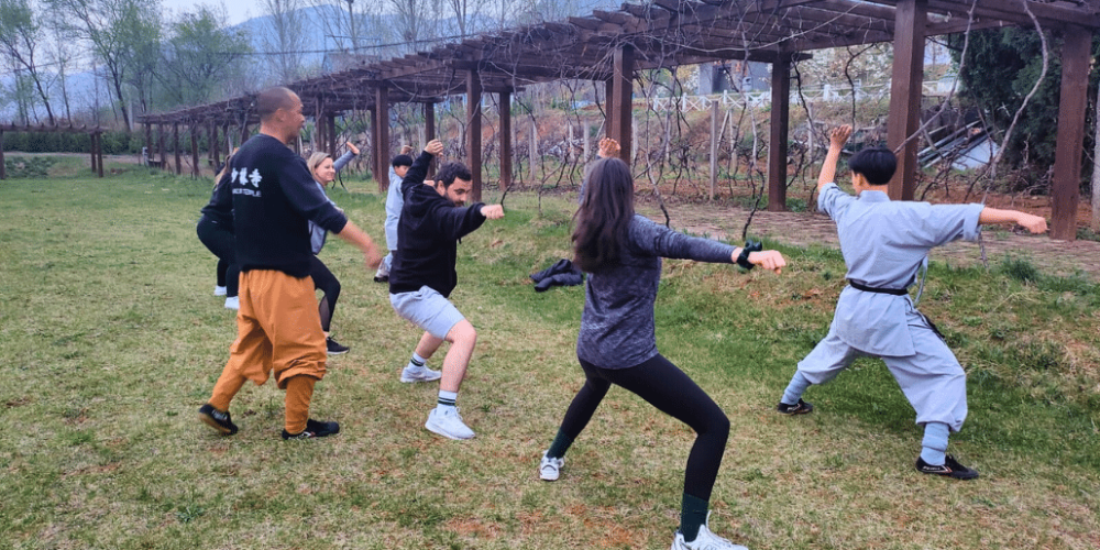 china-giant-panda-volunteer-cultural-tour-19