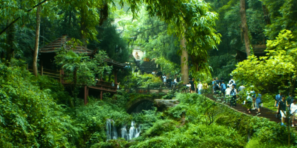 china-giant-panda-volunteer-cultural-tour-26