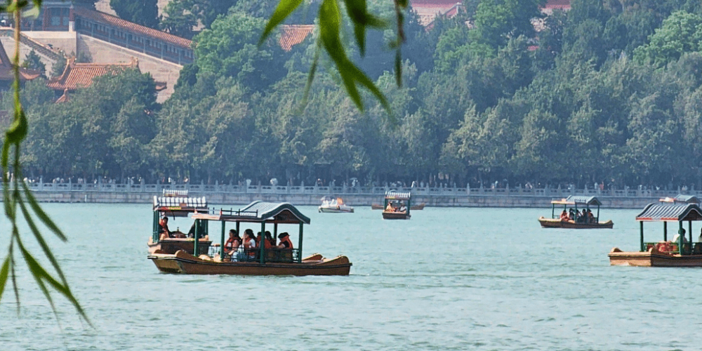 china-giant-panda-volunteer-cultural-tour-3