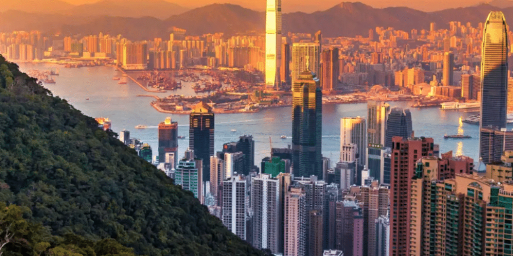 china-giant-panda-volunteer-cultural-tour-36