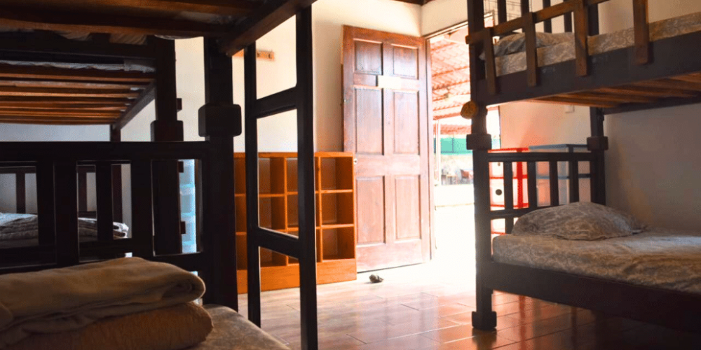 cost-rica-pre-vet-sloth-wildlife-rescue-center-1