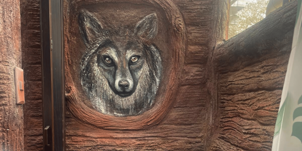 cost-rica-sloth-wildlife-rescue-center-6