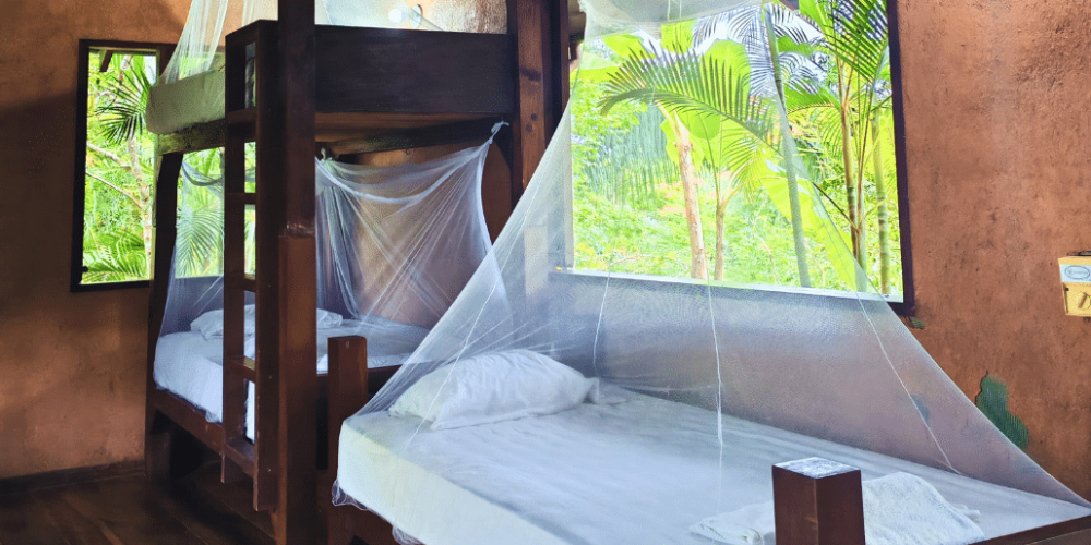 costa-rica-family-friendly-sea-turtle-&-nature-conservation-17