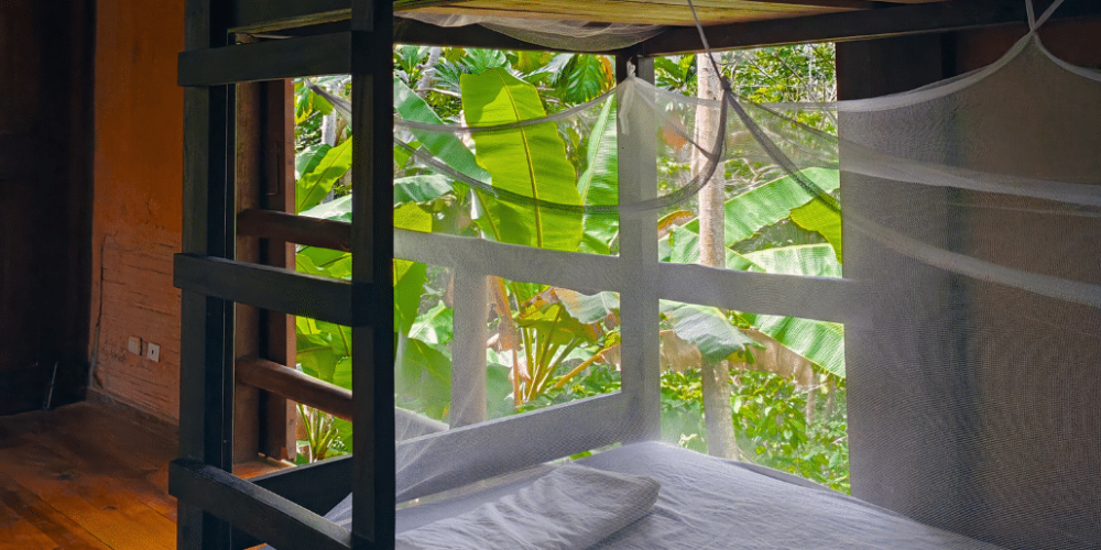 costa-rica-family-friendly-sea-turtle-&-nature-conservation-18