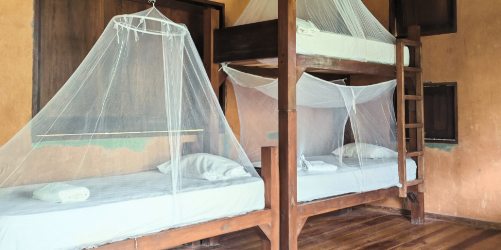 costa-rica-family-friendly-sea-turtle-&-nature-conservation-19