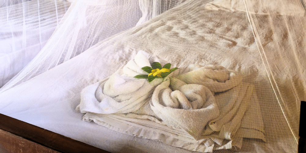 costa-rica-family-friendly-sea-turtle-&-nature-conservation-20