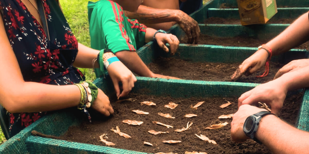 costa-rica-family-friendly-sea-turtle-&-nature-conservation-22