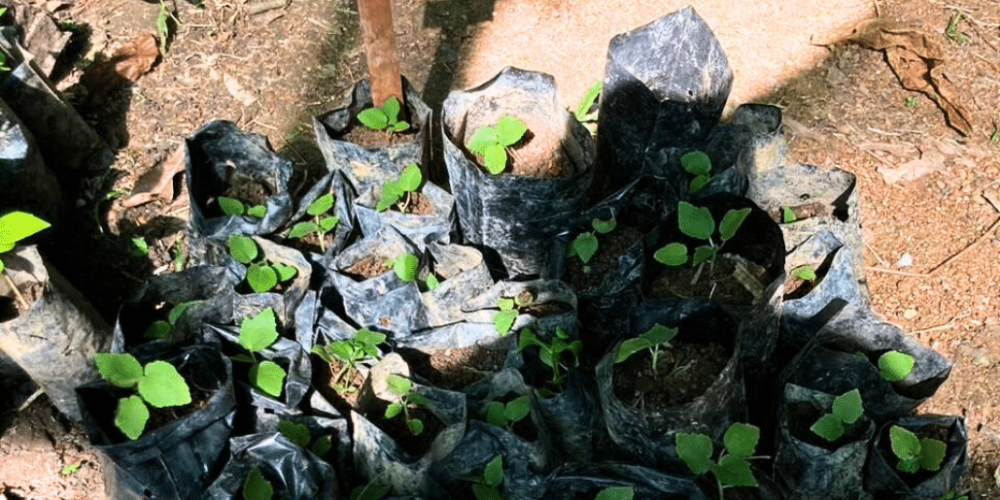 costa-rica-family-friendly-sea-turtle-&-nature-conservation-23