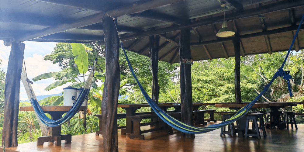 costa-rica-family-friendly-sea-turtle-&-nature-conservation-3