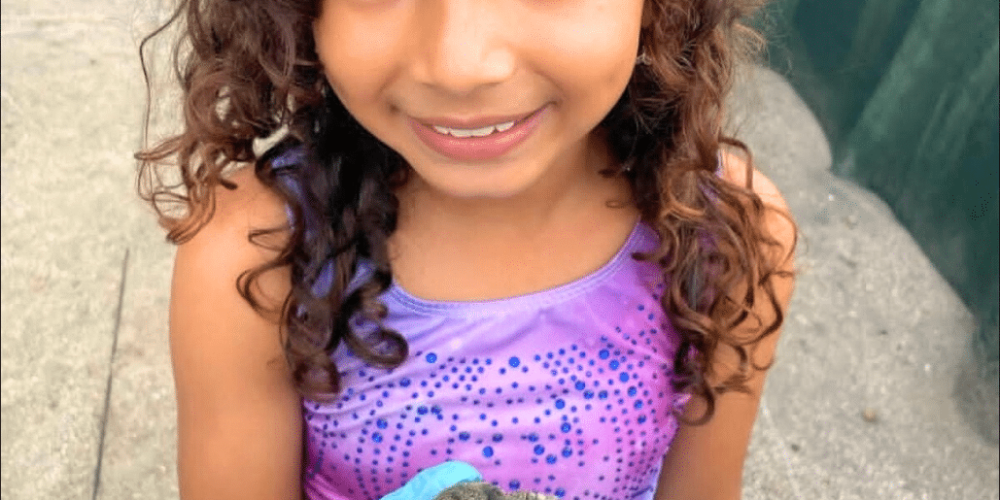 costa-rica-family-friendly-sea-turtle-&-nature-conservation-30