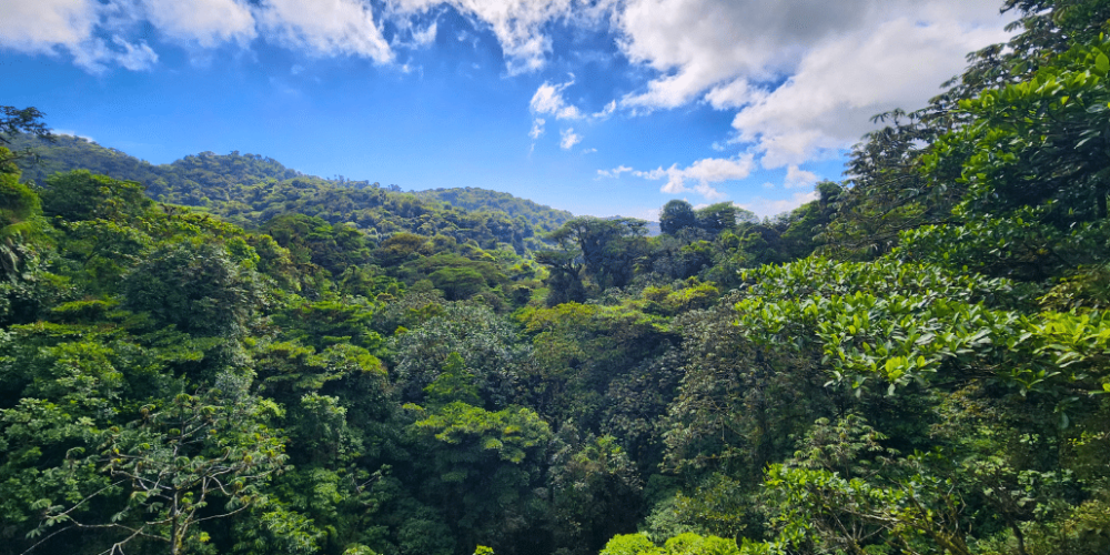 costa-rica-ff-sloth-and wildlife-rescue-center