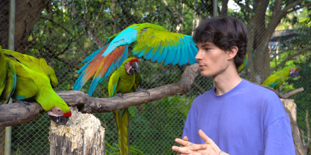 costa-rica-macaw-and-wildlife-sanctuary1