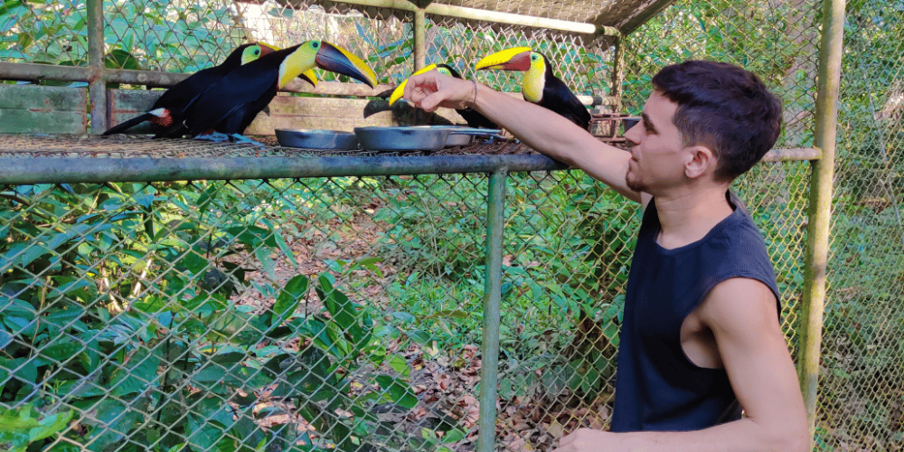 costa-rica-macaw-and-wildlife-sanctuary9