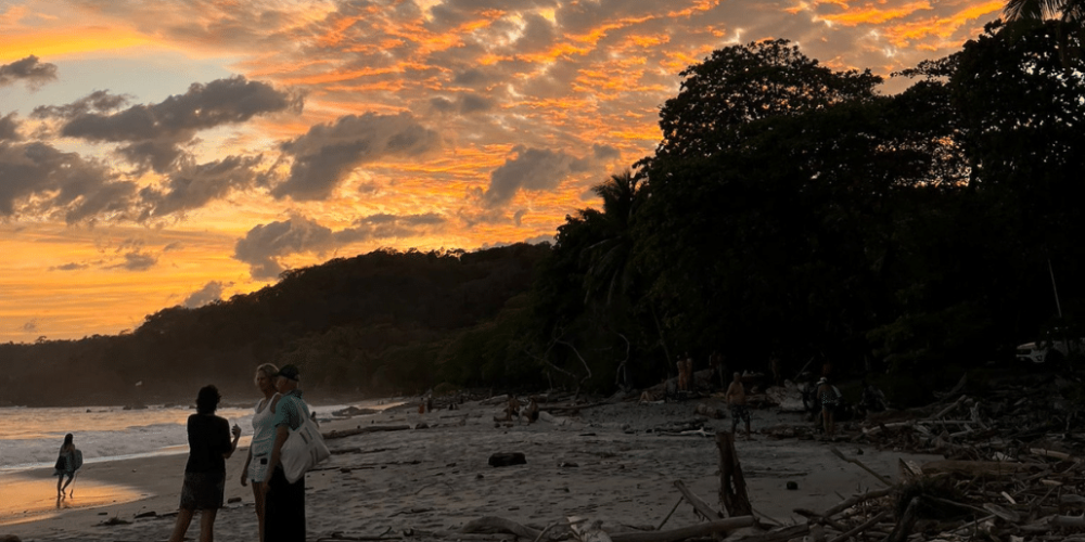 costa-rica-montezuma-sea-turtle-volunteer-program3