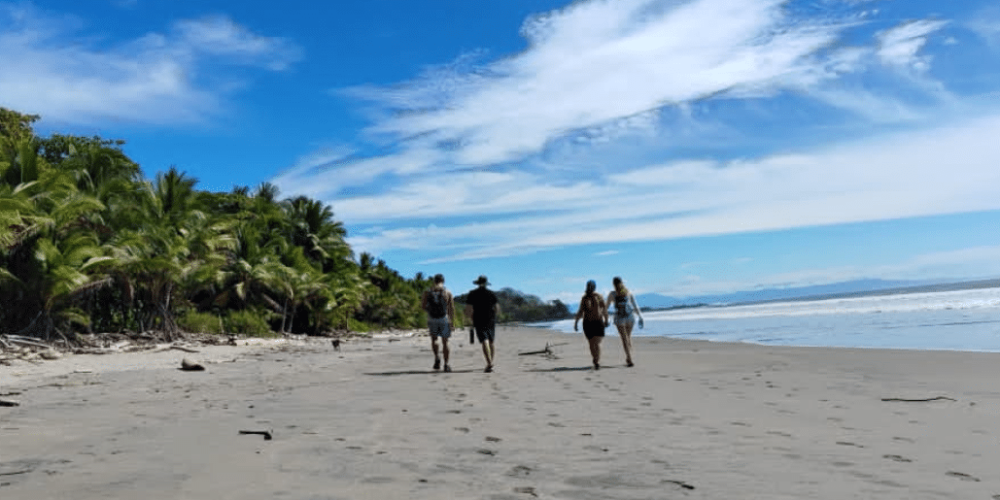 costa-rica-montezuma-sea-turtle-volunteer-program4