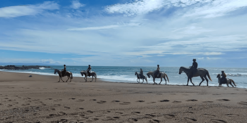 costa-rica-montezuma-sea-turtle-volunteer-program5