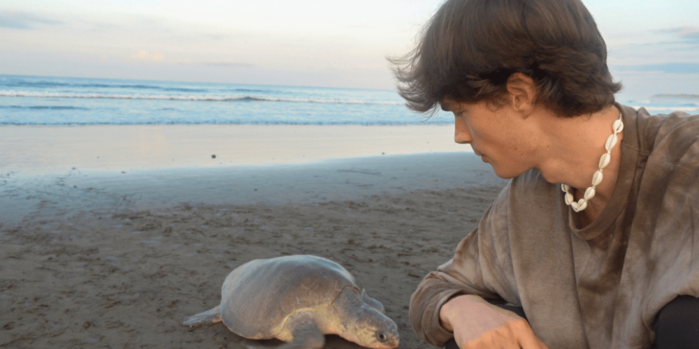 costa-rica-sea-turtle-conservation-new24