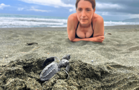 costa-rica-sea-turtle-protection-eco-oasis-main2
