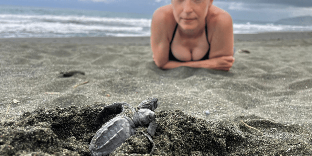 costa-rica-sea-turtle-protection-eco-oasis1