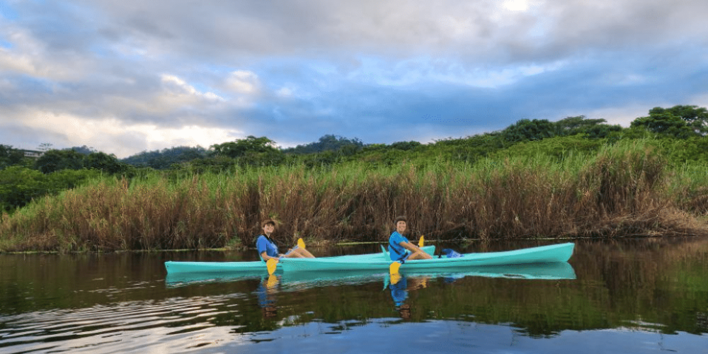 costa-rica-sea-turtle-protection-eco-oasis10