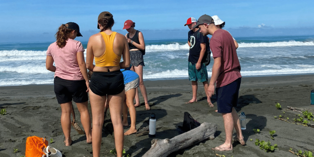 costa-rica-sea-turtle-protection-eco-oasis13