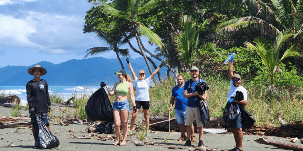 costa-rica-sea-turtle-protection-eco-oasis2