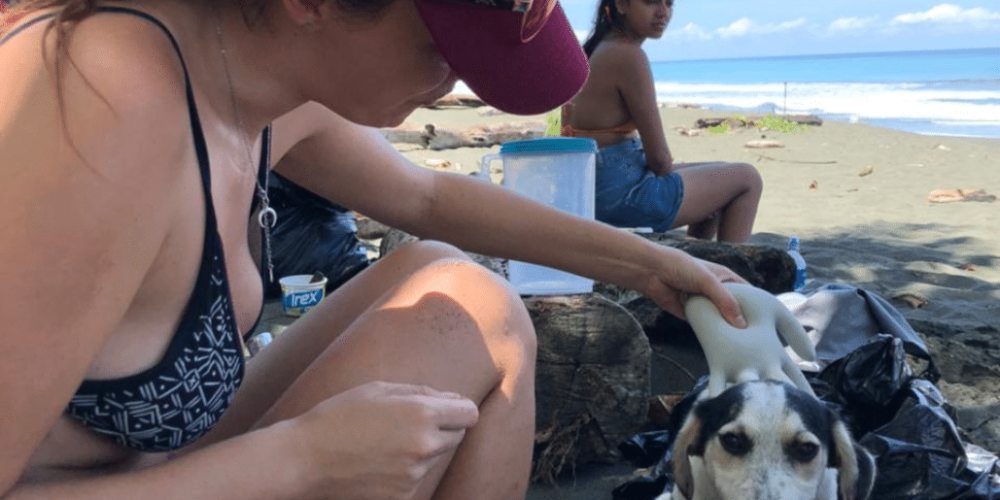 costa-rica-sea-turtle-protection-eco-oasis41
