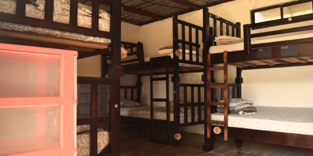 costa-rica–family-friendly-animal-rescue-and-conservation-10